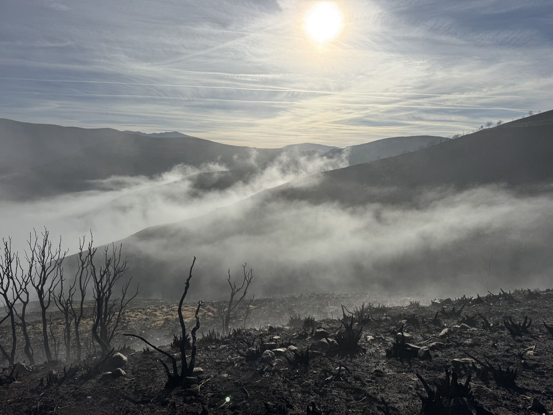 Ladera quemada por los incendios de 2025 en El Bierzo, con niebla al amanecer